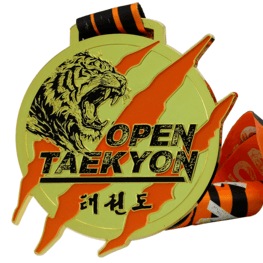 Open Taekyon Medaille